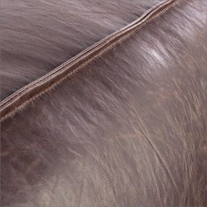 0748051–pm1