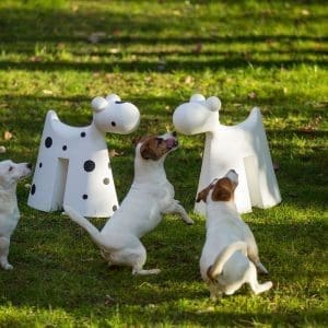 doggy-complemento-giardino