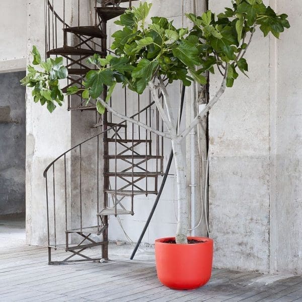 vaso-da-giardino-cup